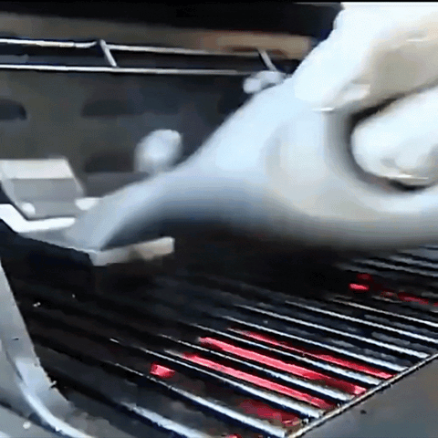 Steam Grill Cleaning Brush