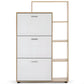 3-Door White Shoe Storage Cabinet with Shelves